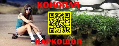 шишки Краснодар